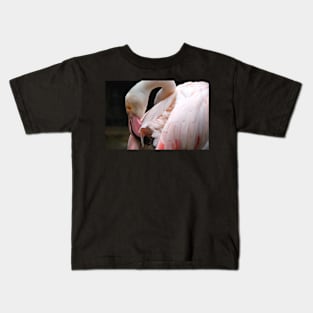 Greater Flamingo Preening Kids T-Shirt